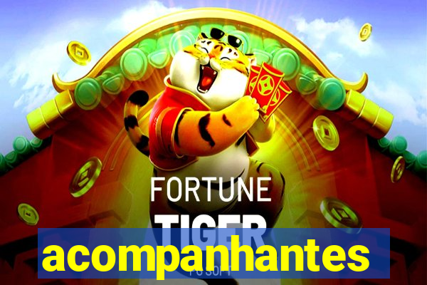 acompanhantes gordinhas santos